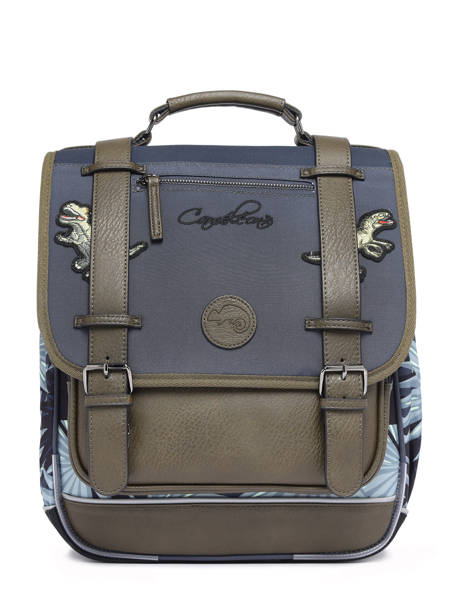 2-compartment Backpack Cameleon Gray vintage urban PBVBSD39 other view 7