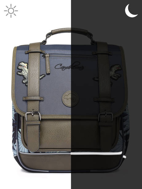2-compartment Backpack Cameleon Gray vintage urban PBVBSD39 other view 8