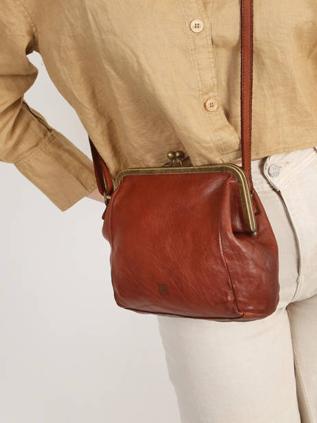 Sac Bandoulière Heritage Cuir Biba Marron heritage BT22 vue secondaire 1